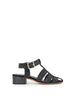 FRESIA RAFIA NEGRO