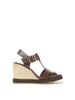 CARLA CALIDIS  BROWN